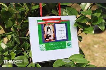 غرس ۱۱۰۰ نهال در منطقه ۱۱ 33