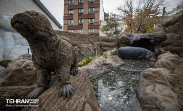 اقیانوس پارک  31