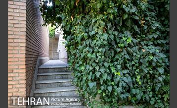 بوستان هورفر 14