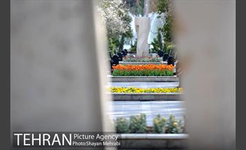 رویش گل های لاله در پارک ملت 20