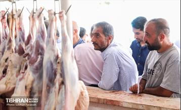 مرکز عرضه دام بهداشتی به مناسبت عید قربان 36