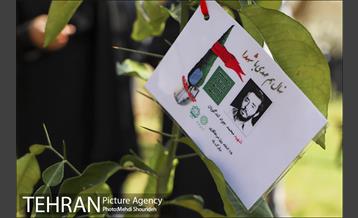 مراسم روز درختکاری در منطقه 7