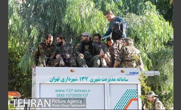 خدمات رسانی شهرداری تهران به مناطق حادثه زلزله کرمانشاه 15