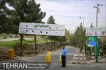 روز طبیعت در بوستان هاى منطقه ٥