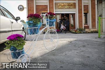 مرکز گل و گیاه ایوار 1