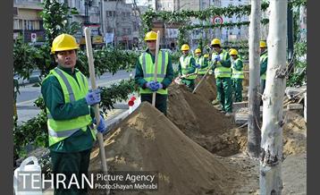 آیین کاشت 40 اصله درخت، به مناسبت چهلمین سالگرد انقلاب اسلامی باحضور شهردار تهران 8