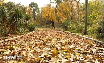 گذرگاه های پاییزی پایتخت - منطقه 13