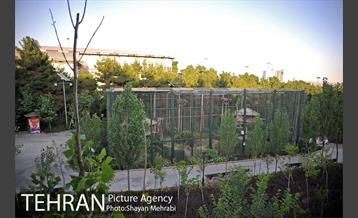 باغ پرندگان تهران 41