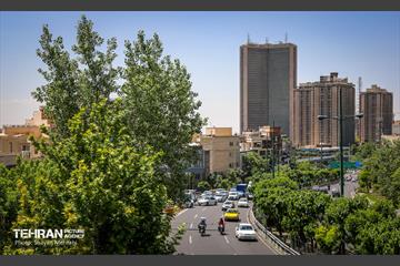 بی قانونی؛ تخلف جناغی 34