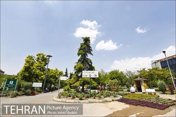 بوستان میعاد 1