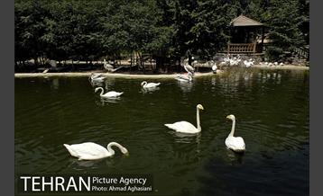 باغ پرندگان تهران 14