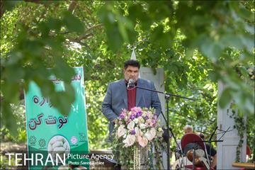 سومین دوره جشنواره توت کن 17