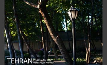 بوستان باغ ایرانی 36