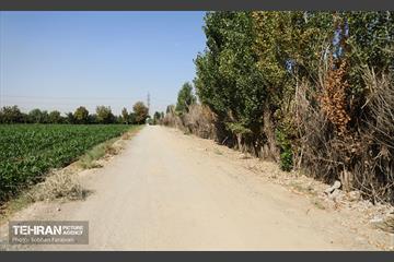 بررسی میدانی معضلات و مشکلات منطقه ۱۸
