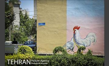 دیوارهای چشم نواز در منطقه 7