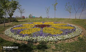 هوای بهاری منطقه 5 40