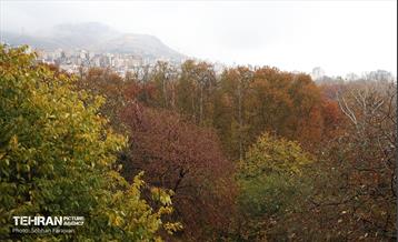 طبیعت پاییزی مجموعه فرهنگی تاریخی سعدآباد  37