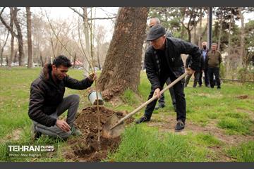 کاشت درخت توسط هنرمندان در فرهنگسرای نیاوران 6