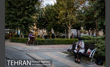 شهرنگار؛ بوستان المهدی 27