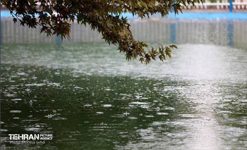 یک روز بارانی در منطقه 19 19