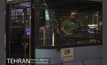 میدان شقایق‎ 16