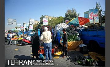 میوه فروشان خیابانی 6