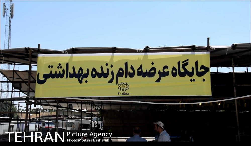 آماده سازی قربانگاه منطقه ۲۰ ( شهرری )  7