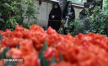 به وقت اردیبهشت؛ باغ ایرانی 6