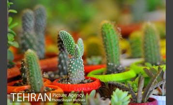 نمایشگاه بین المللی گل و گیاه 10