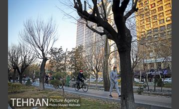 پویش سه شنبه های بدون خودرو 18