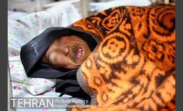 گرمخانه ها، دور از سرما 31