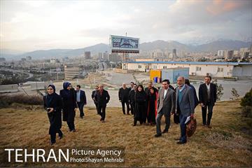کاشت شش نهال درخت زیتون با حضور کارگرداران سینمای ایران 2