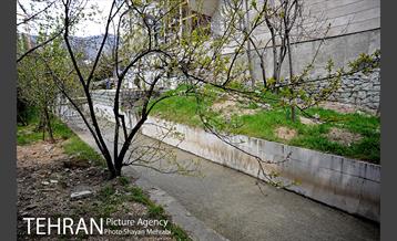 رود دره ولنجک 15