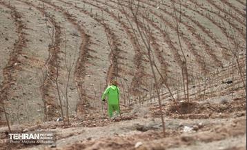 بهره‌برداری از فاز دوم طرح جنگلکاری کمربند سبز 15