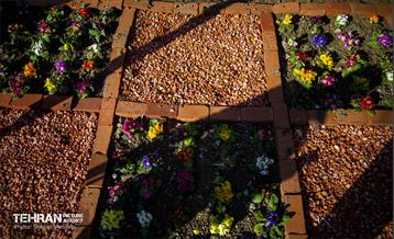 باغ گلاریس 22