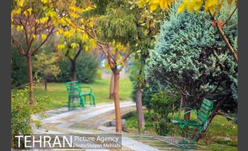 پاییز در بوستان المهدی(عج) 30