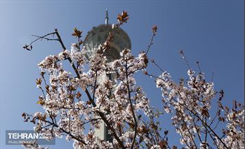 آماده سازی برج میلاد برای عید نوروز 8