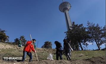 آیین کاشت گیاهان بومی پایتخت در برج میلاد 14