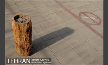 مجتمع مهارت آموزی و کارآفرینی بهاران منطقه 11 22