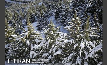 طبیعت برفی تلو 5