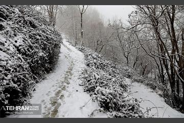 بارش برف زمستانی در تهران 18