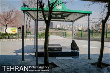 آستان مقدس امامزادگان عینعلی و زینعلی 14
