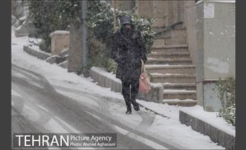 بارش نخستین برف پاییزی تهران 43
