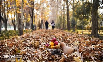 گذرگاه های پاییزی پایتخت - منطقه 14