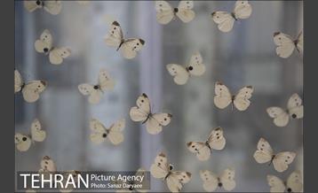 دهمین تور عکاسی آژانس عکس تهران از مکان های شاخص منطقه یک 14