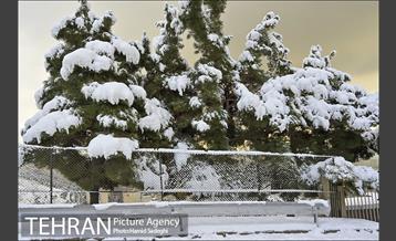 طبیعت برفی شمال تهران 2