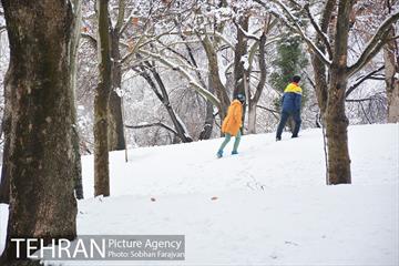 روز برفی تهران در بوستان ملت 19