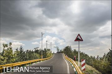 بوستان جنگلی لویزان 19