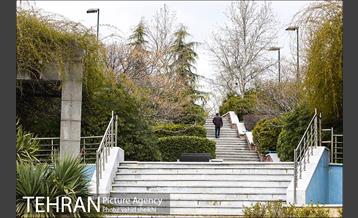 بوستان گفتگو 19