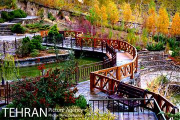 پاییز رنگ به رنگ در بوستان کوهستانی آبشار تهران‎ 12